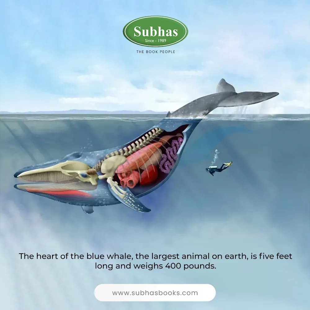 Subhaspublishing image
