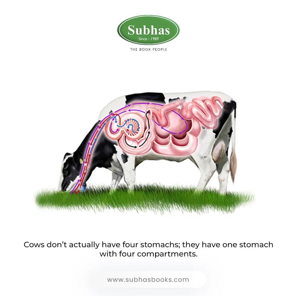 Subhaspublishing image